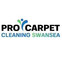 Pro Carpet Cleaning Swansea image 1